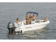 Triumph Boats 191 Fish & Ski 2008 boat specs