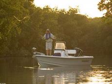 Trophy 1901 Bay Boat 2008 Boat specs
