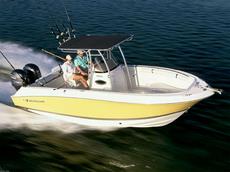 Wellcraft 252 Fisherman 2008 Boat specs