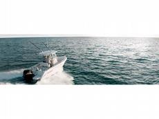 Everglades Boats 210cc 2009 Boat specs