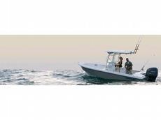 Everglades Boats 223cc 2009 Boat specs