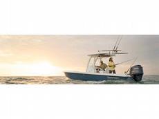 Everglades Boats 243cc 2009 Boat specs