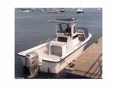 Maritime 20-P Express 2009 Boat specs