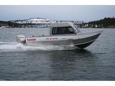 Raider Sea-Raider 22/84 2009 Boat specs