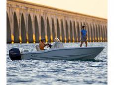 Scout 175 Sportfish 2009 Boat specs