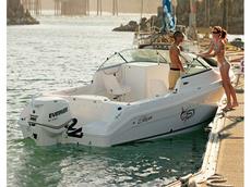 Striper 2101 Dual Console O/B 2009 Boat specs