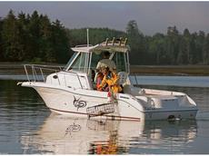 Striper 2301 Walk Around I/O 2009 Boat specs