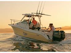 Striper 2605 Walk Around O/B 2009 Boat specs