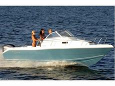 Tidewater Boats 228WA Excursion 2009 Boat specs