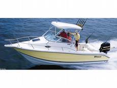 Triton Boats 2486 WA 2009 Boat specs