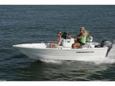 Triumph Boats 150 CC 2009 Boat specs