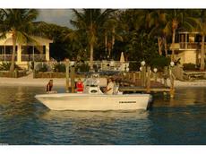 Triumph Boats 235 CC 2009 Boat specs