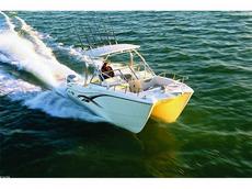World Cat 250DC Dual Console 2009 Boat specs