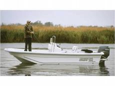Carolina Skiff DLV 198 Elite 2010 Boat specs