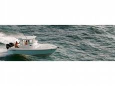 Everglades Boats 290 Pilot 2010 Boat specs