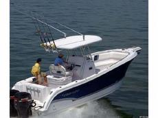 Pro-Line 29 Grand Sport 2010 Boat specs