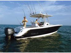 Robalo R300 2010 Boat specs