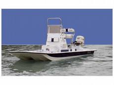 Shallow Stalker Cat 204 2010 Boat specs