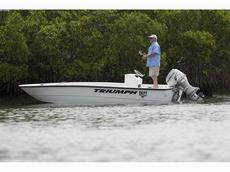 Triumph Boats 1700 Skiff 2010 Boat specs