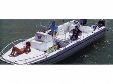 Twin Vee Catamarans 26 ft. Family Fisherman 2010 Boat specs
