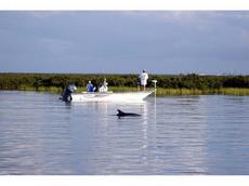 Blue Wave 200 V-Bay 2011 Boat specs