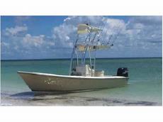 Dorado 25 Avenger  2011 Boat specs