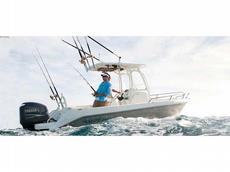 Everglades Boats 210cc 2011 Boat specs