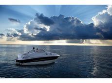 Larson Cabrio 240  2011 Boat specs