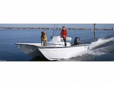 Livingston Model 19 2011 Boat specs