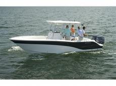 Sea Fox 256CC 2011 Boat specs