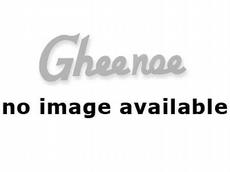 Gheenoe Low Tide 2012 Boat specs