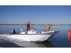 Livingston LV19 2012 Boat specs