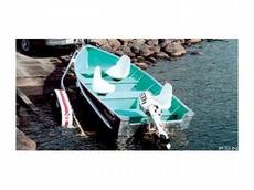 Naden N-14CL Canadian Laker 2012 Boat specs