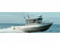 Raider Sea-Raider 24 Hardtop 2012 Boat specs
