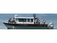 Raider Sea-Raider 28/96 Hardtop 2012 Boat specs