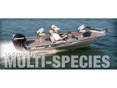 Triton Boats 16 Storm PF 2012 Boat specs