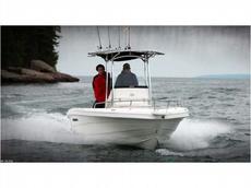 Triumph Boats 195 CC 2012 Boat specs