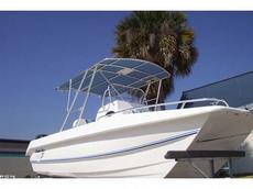 Twin Vee Catamarans 22 ft. Ocean Cat 2012 Boat specs