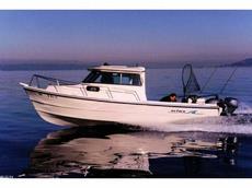 Arima Sea Ranger HT 21 2013 Boat specs