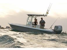 Everglades Boats 223cc 2013 Boat specs