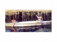Gheenoe 15 ft. 4 in. 2013 Boat specs