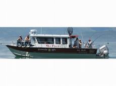 Raider Sea-Raider 28/96 Hardtop 2013 Boat specs