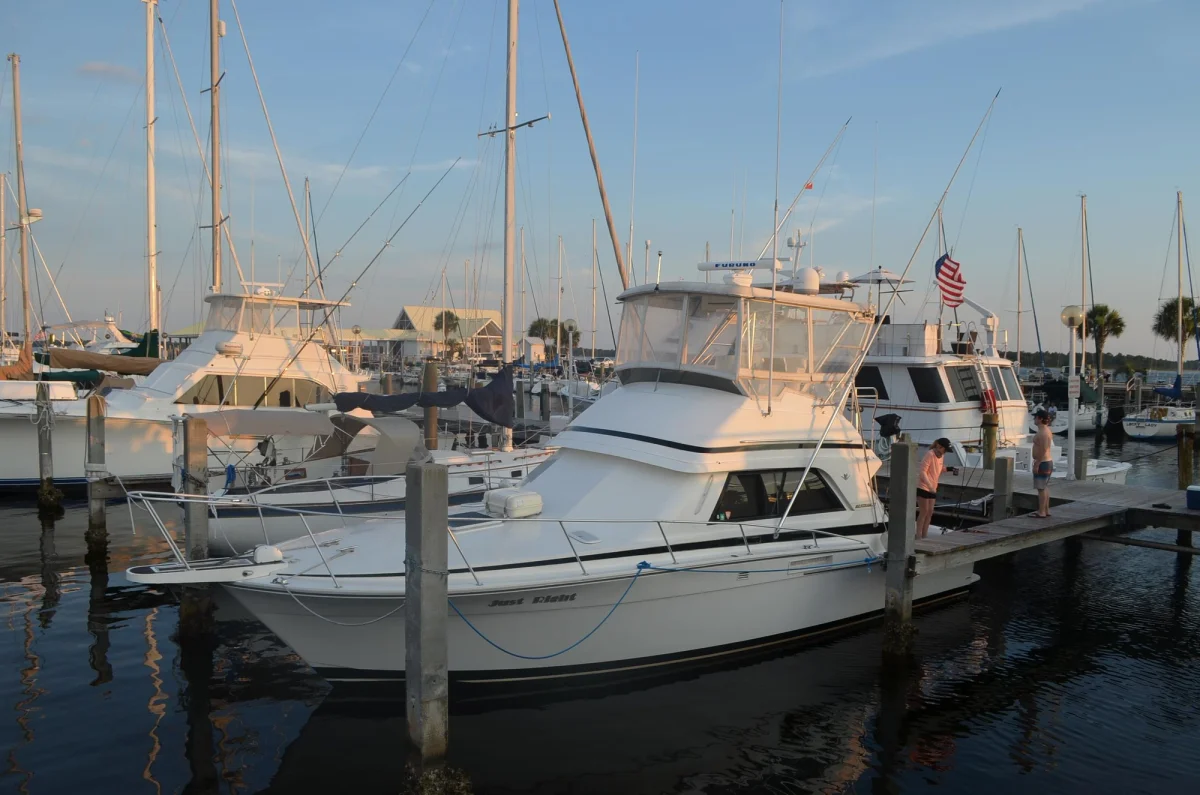 Bertram 37 Convertible 1987 boat specs