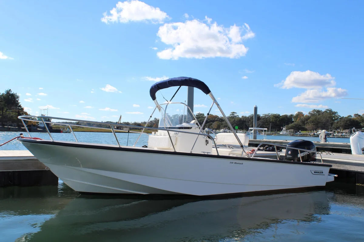 Boston Whaler 210 Montauk 2022 boat specs