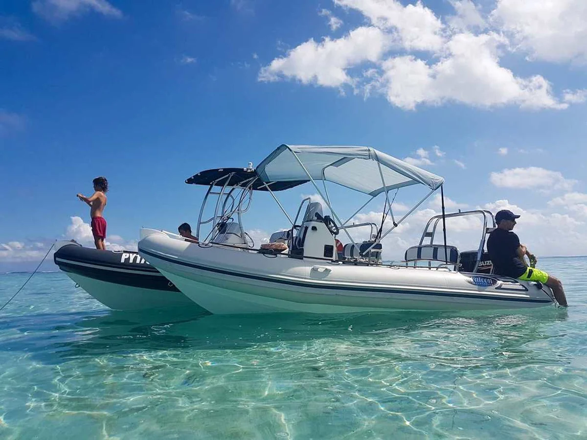 Falcon 520 2021 boat specs