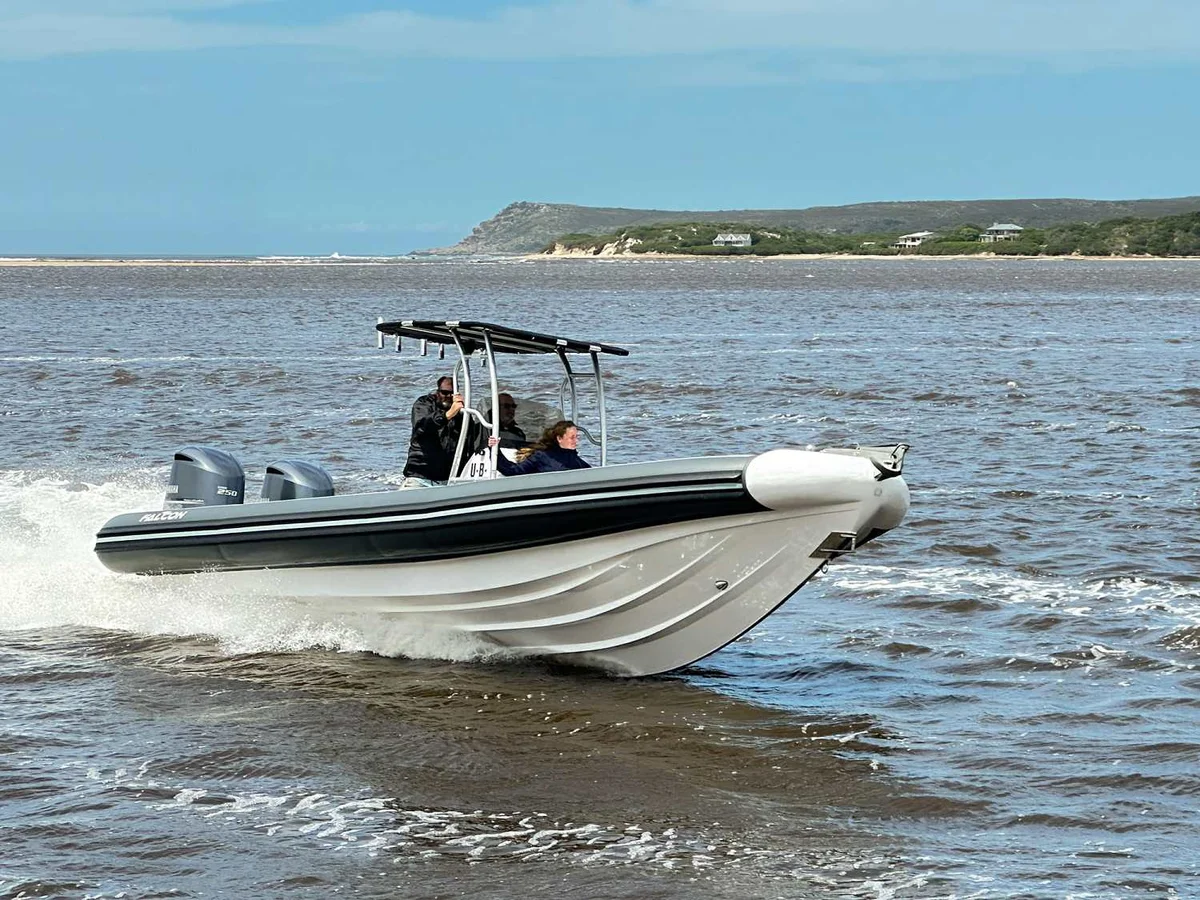 Falcon 900 2024 boat specs