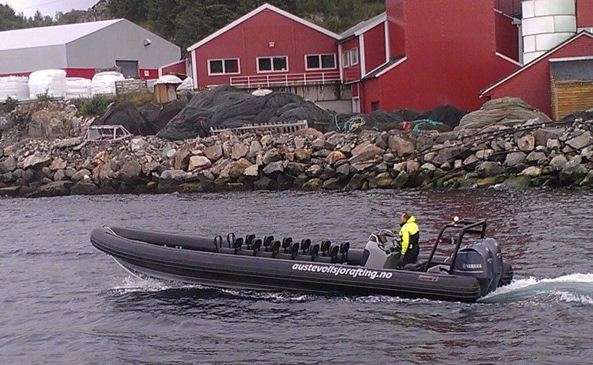 Gemini Marine Waverider 1060 2020 boat specs