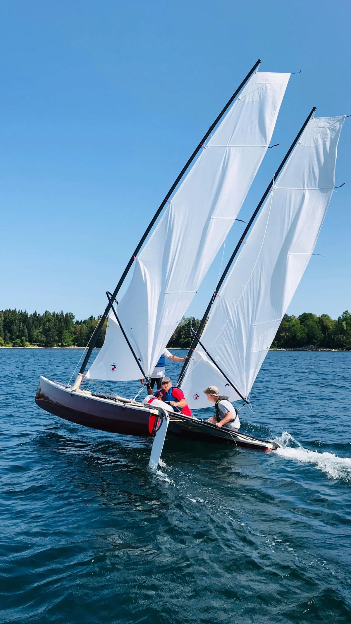 Hobie Cat  Bi - Plane - Custom Build 2020 boat specs