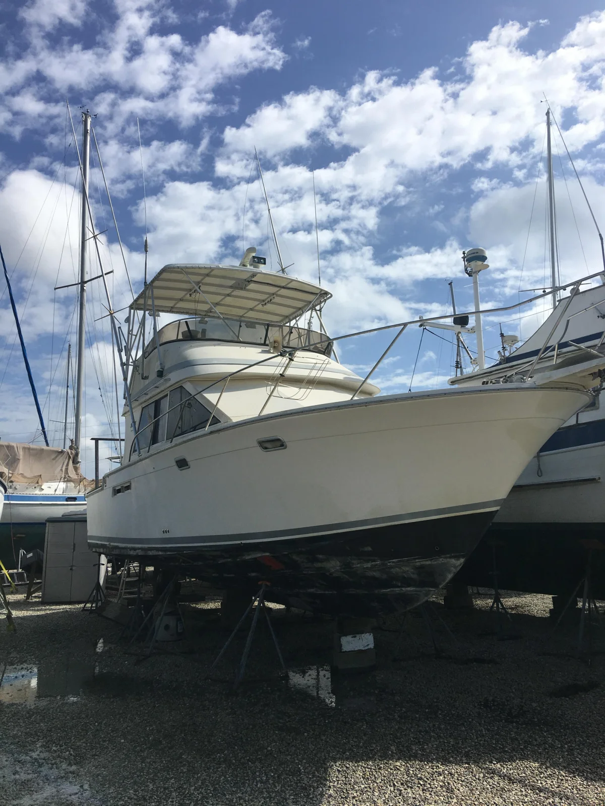 Sport Fish Boat Specs