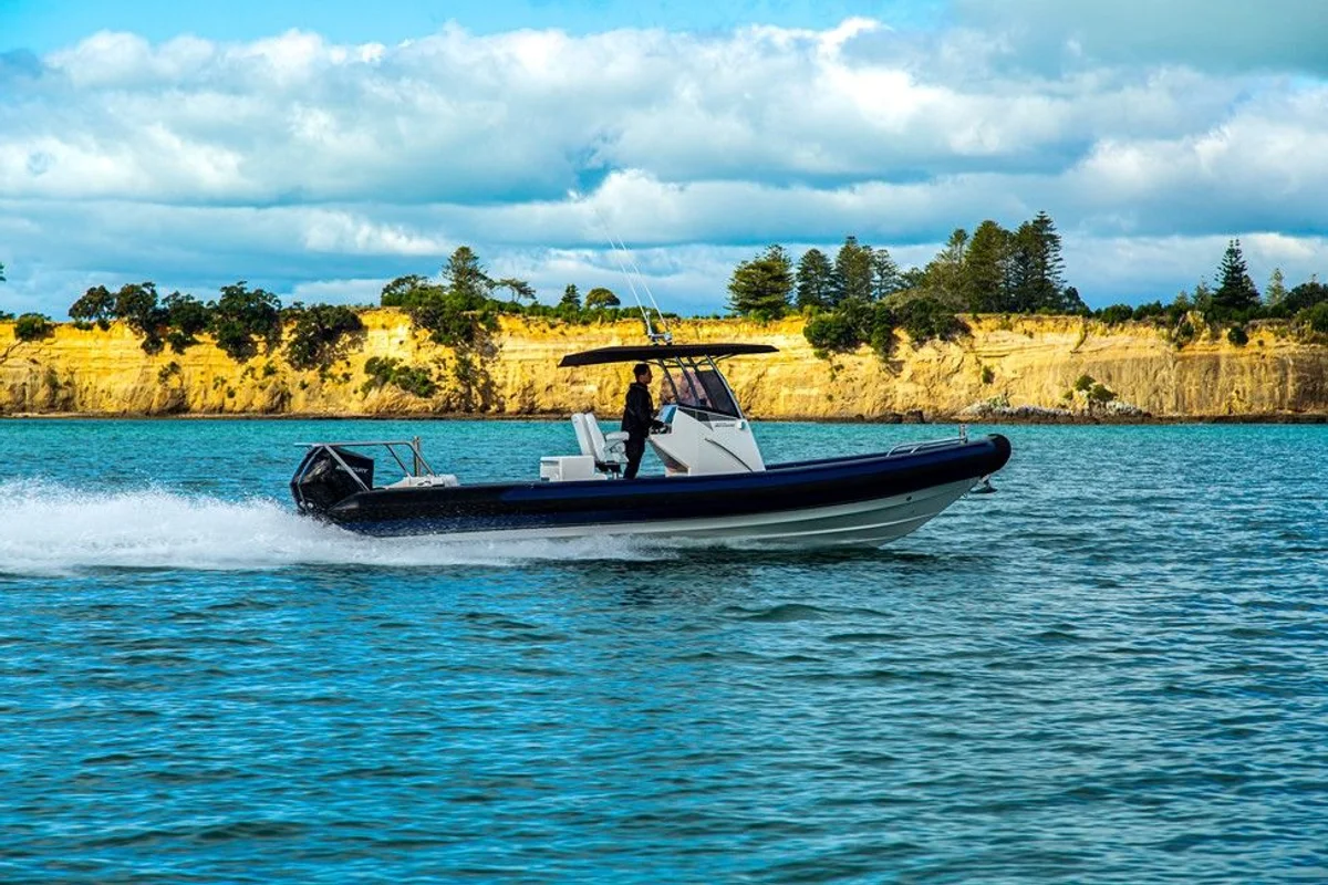 Rayglass Boats Protector 310 Chase 2022 boat specs